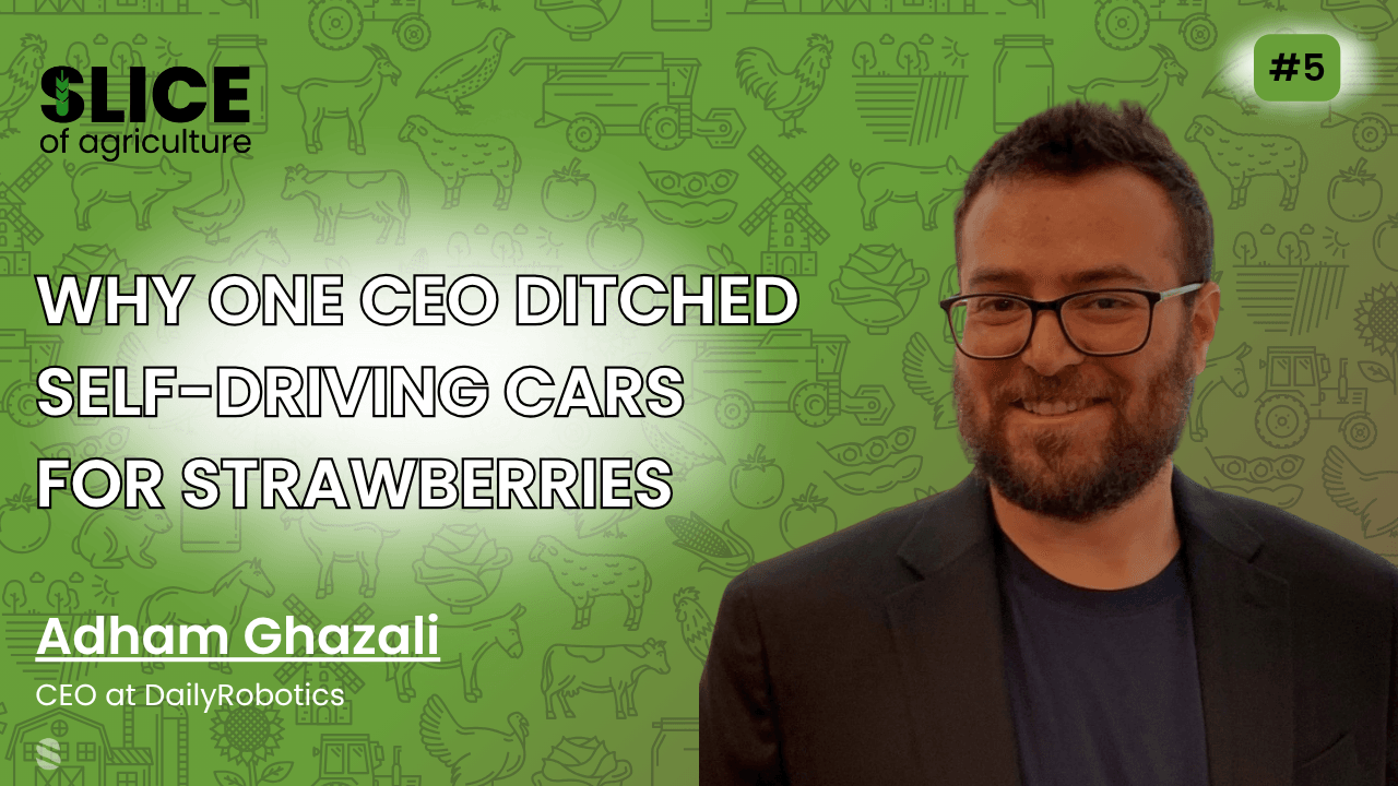 #5 - Adham Ghazali, CEO at DailyRobotics - cover image