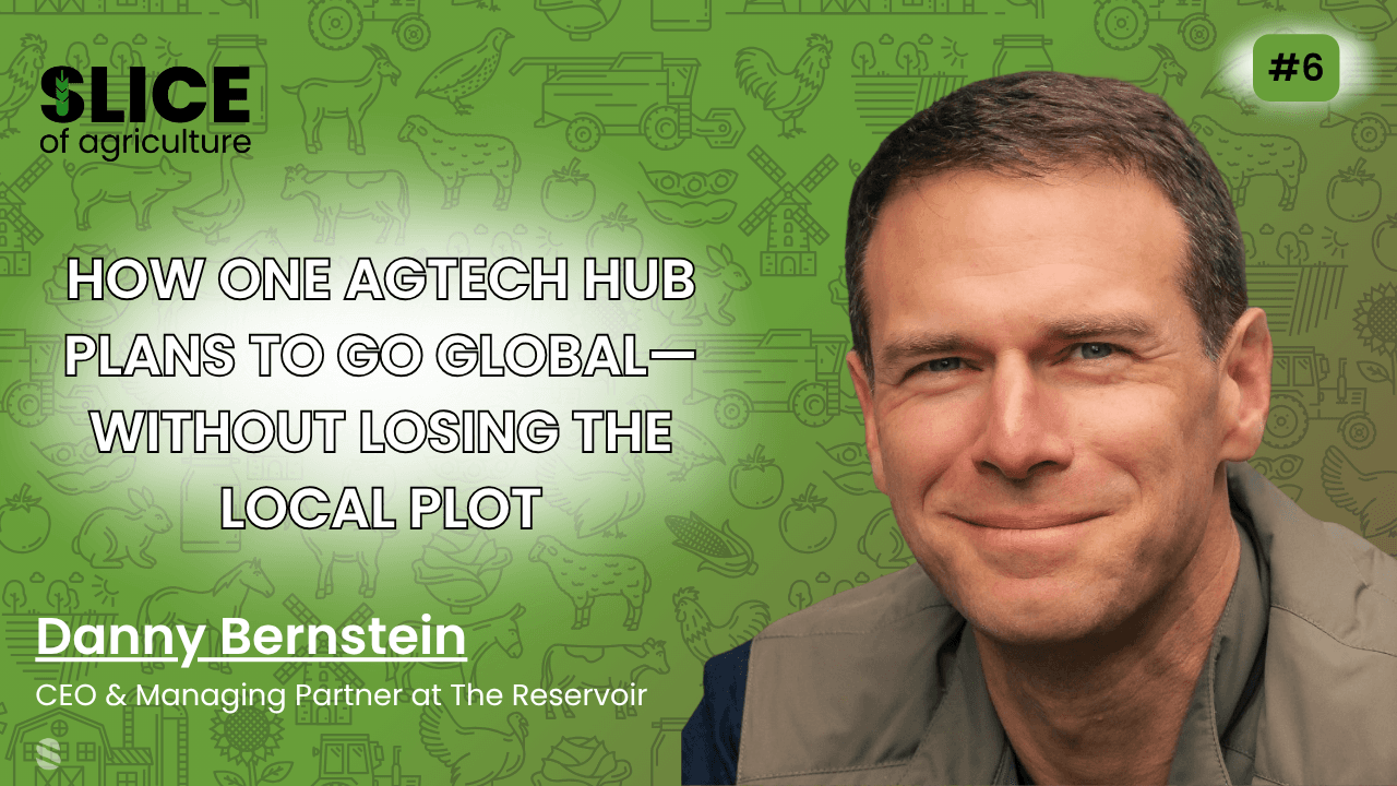 #6 - Danny Bernstein, CEO & Managing Partner at The Reservoir - cover image