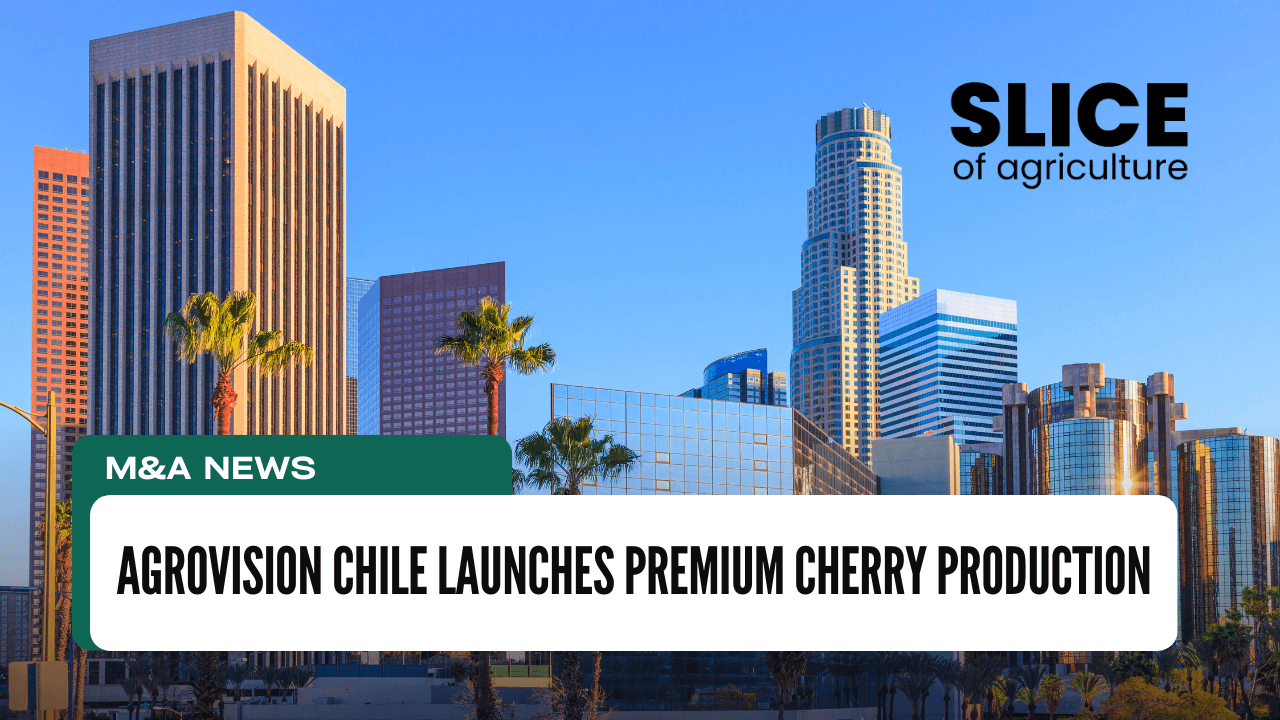 Agrovision Chile Launches Premium Cherry Production