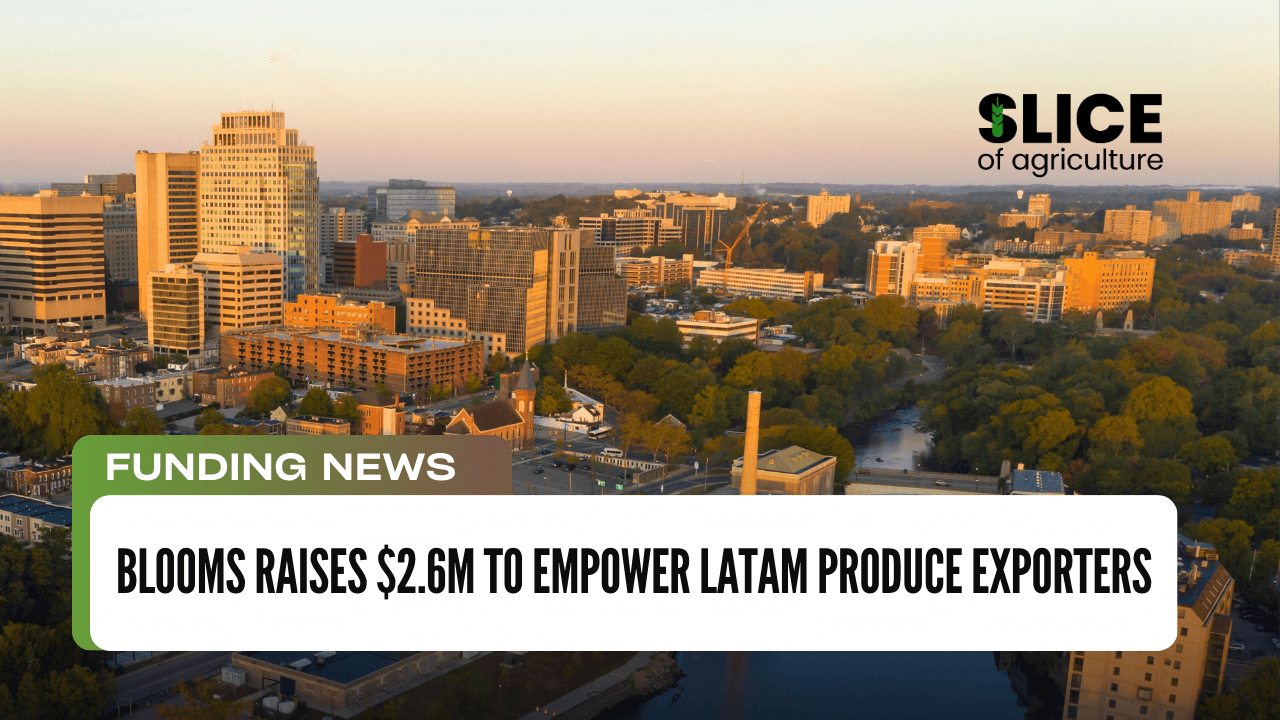 Blooms Raises $2.6M to Empower LatAm Produce Exporters