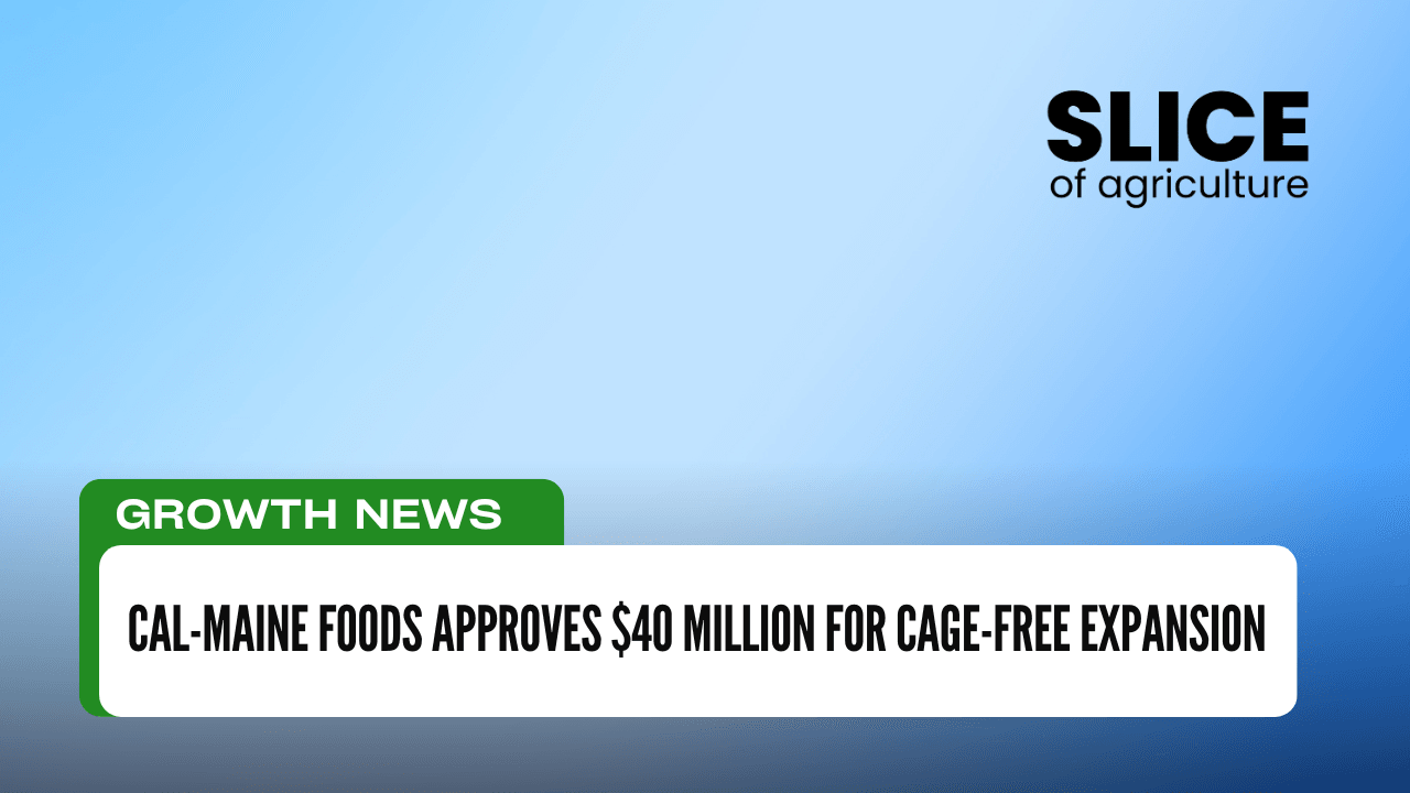 Cal-Maine Foods Approves $40 Million for Cage-Free Expansion