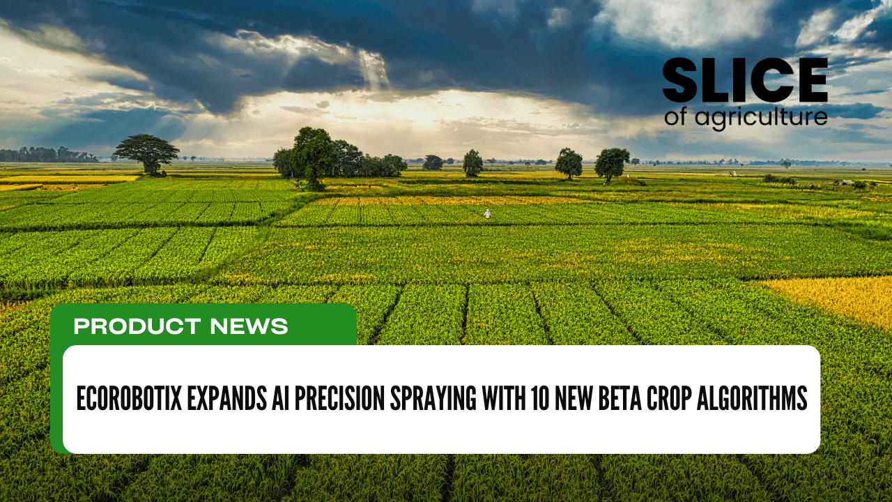 Ecorobotix Expands AI Precision Spraying with 10 New Beta Crop Algorithms