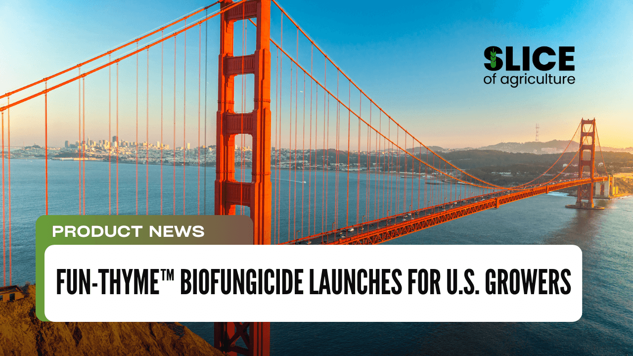 FUN-THYME™ Biofungicide Launches for U.S. Growers