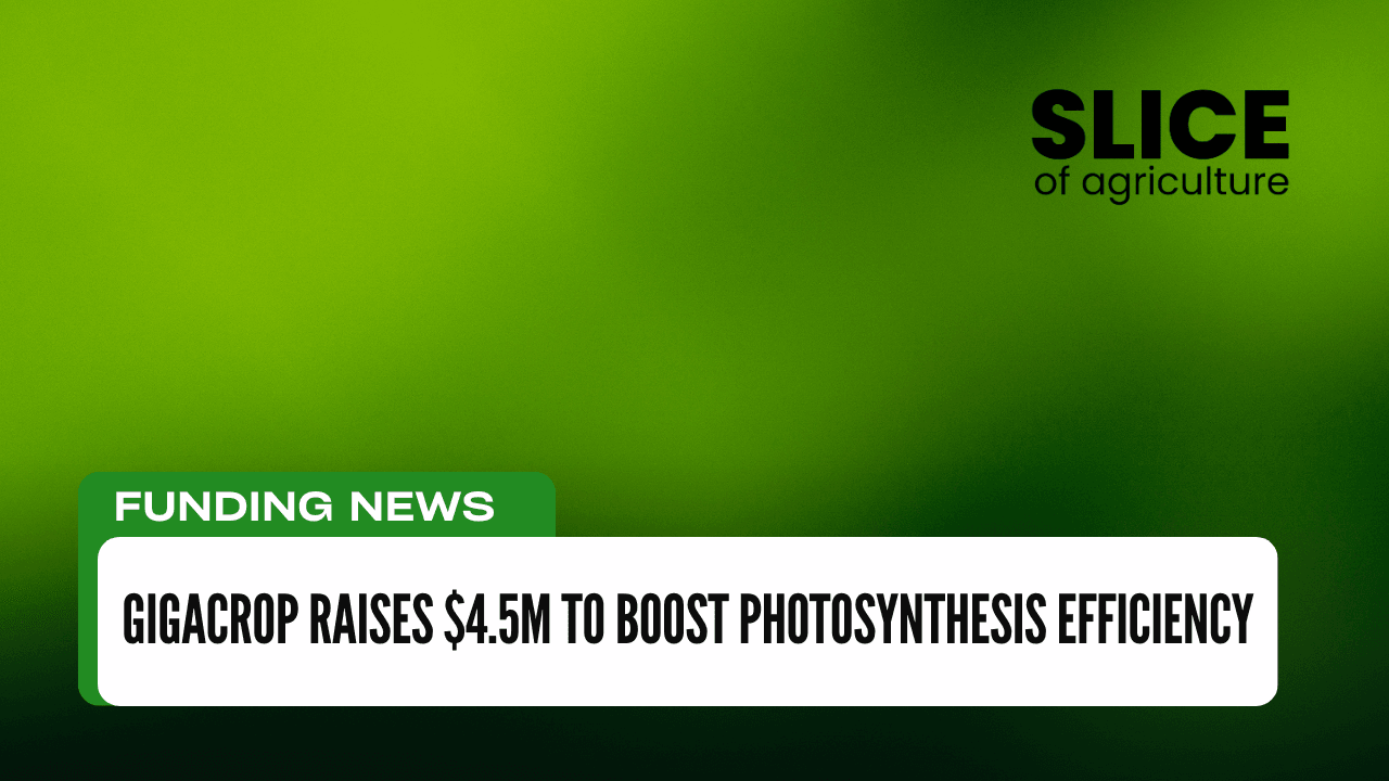 GigaCrop Raises $4.5M to Boost Photosynthesis Efficiency