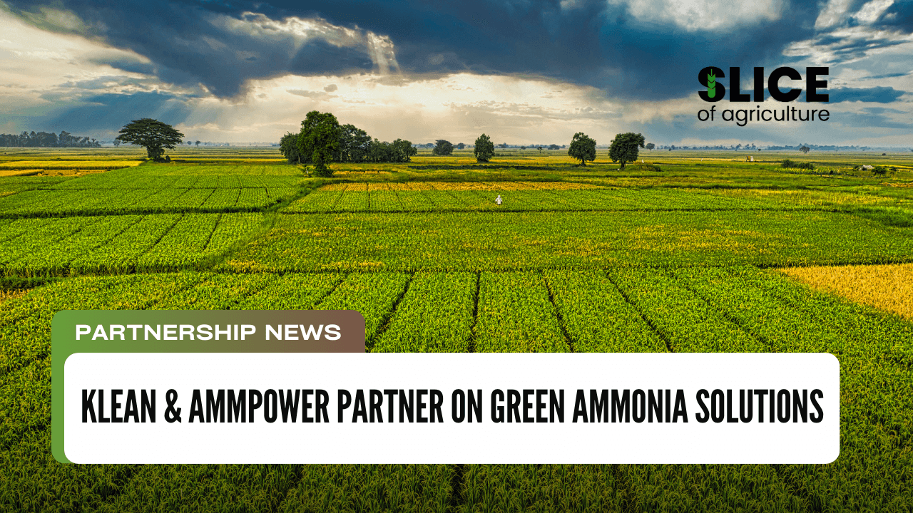 Klean & AmmPower Partner on Green Ammonia Solutions