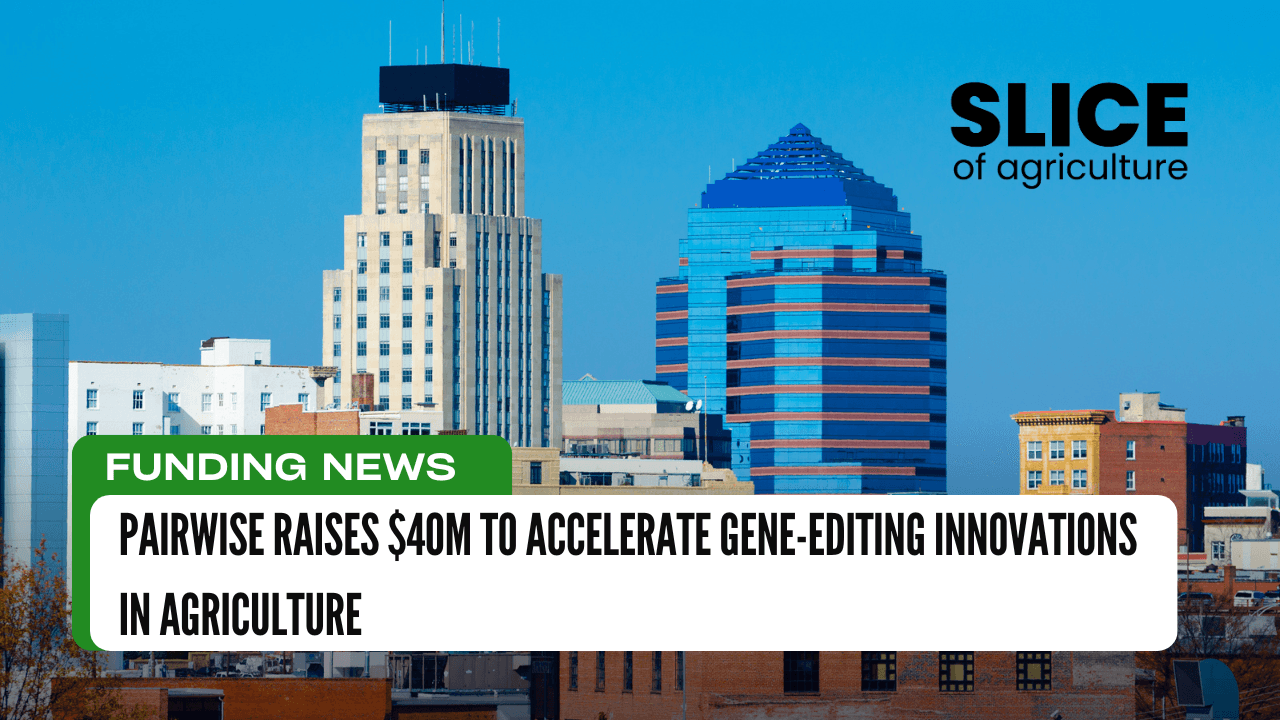 Pairwise Raises $40M to Accelerate Gene-Editing Innovations in Agriculture