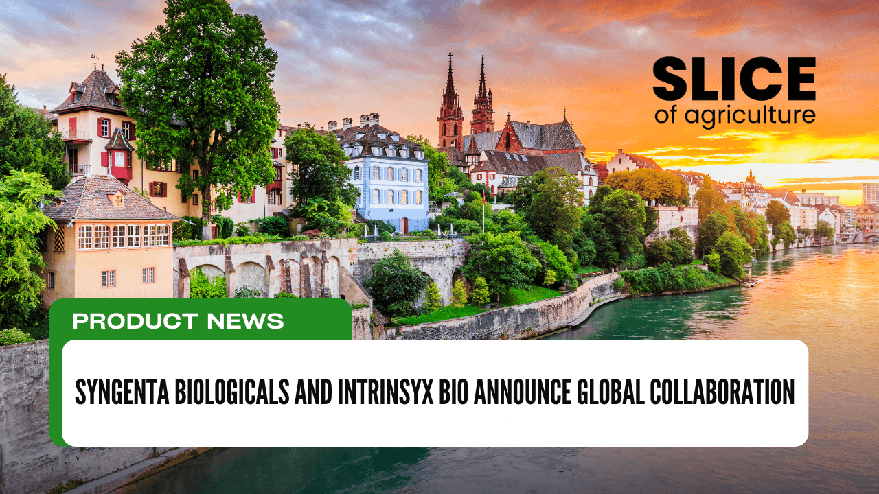 Syngenta Biologicals and Intrinsyx Bio Announce Global Collaboration