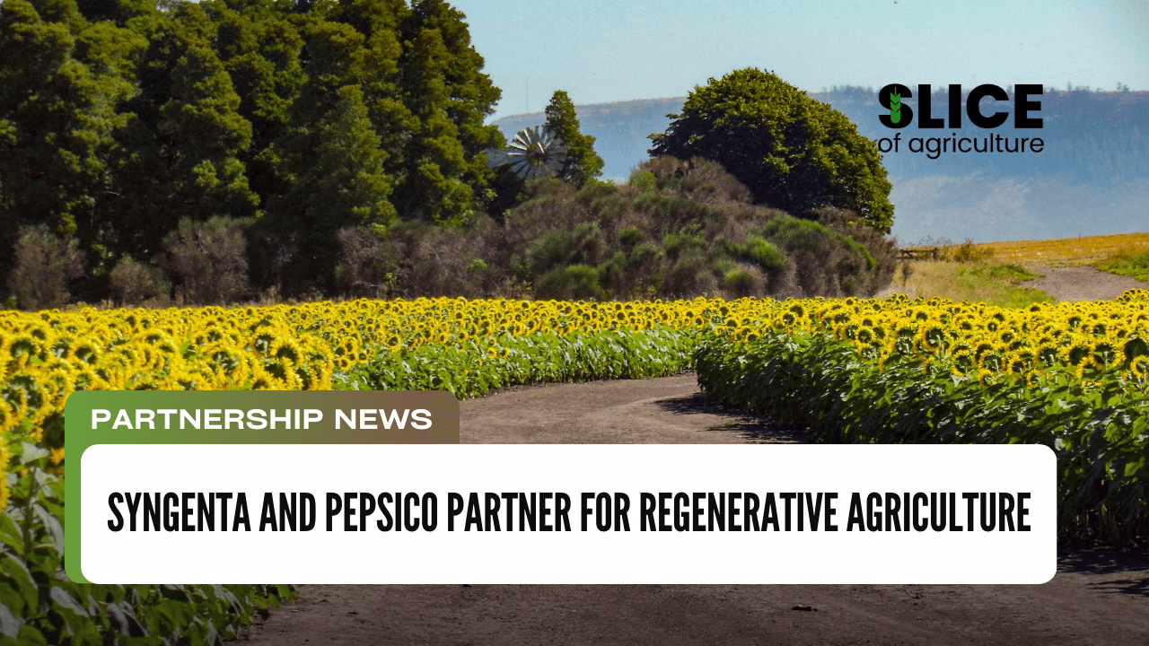 Syngenta and PepsiCo Partner for Regenerative Agriculture
