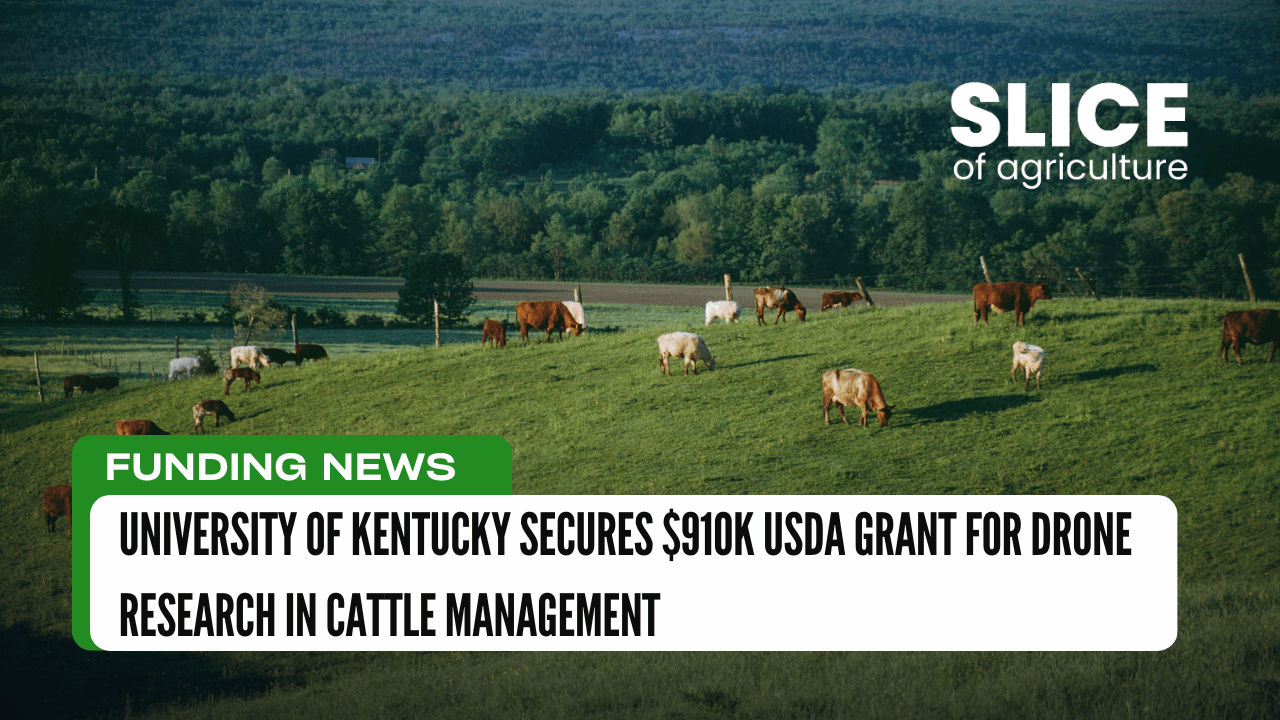 University of Kentucky Secures $910K USDA Grant for Drone Research in Cattle Management
